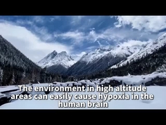 Générateur d'oxygène à diffusion de plateau